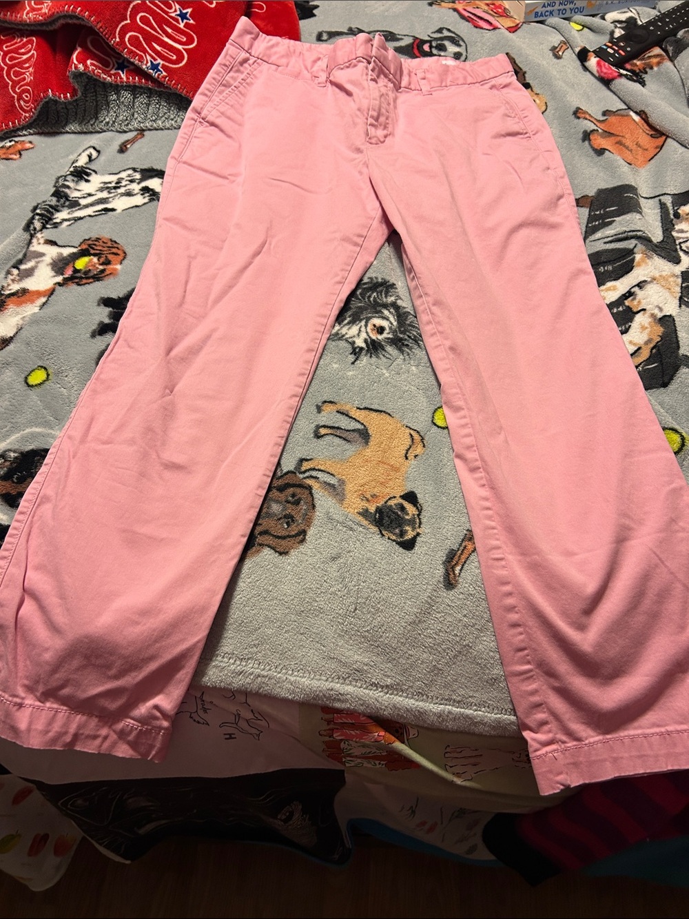 GAP Pink Casual women’s Chino Pants